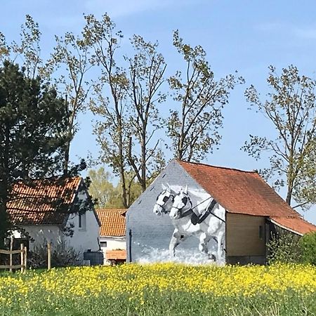 Maison d'hôtes La Ferme Wessière à Oye-Plage Extérieur photo