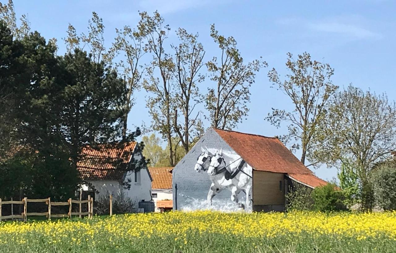 Maison d'hôtes La Ferme Wessière à Oye-Plage Extérieur photo